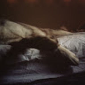 Meet your Posher, Lindsay